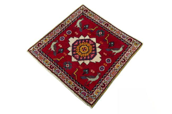 Shiraz - 1