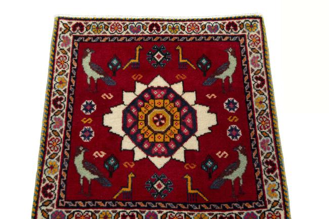 Shiraz - 3
