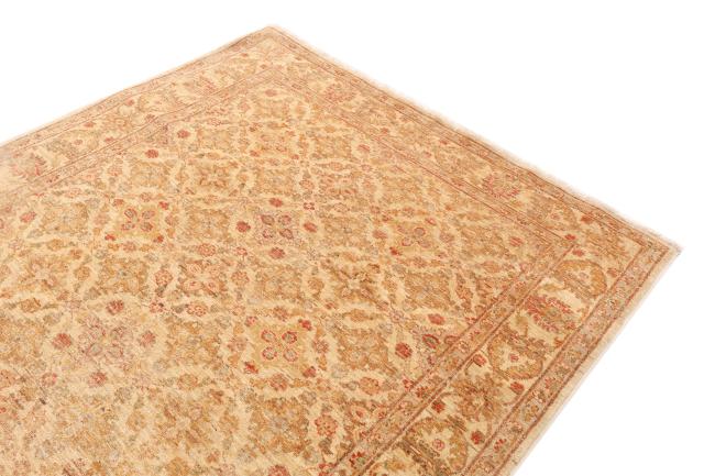 Ziegler Farahan - 3