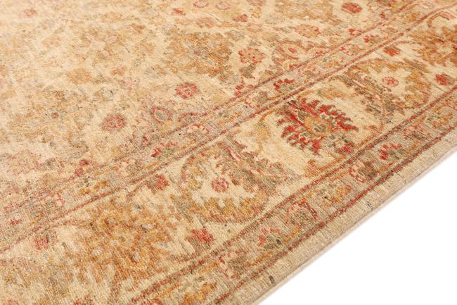 Ziegler Farahan - 4