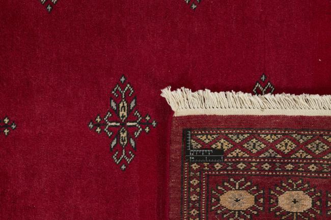 Pakistan Buchara 2ply - 1