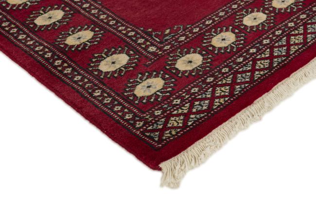 Pakistan Buchara 2ply - 3