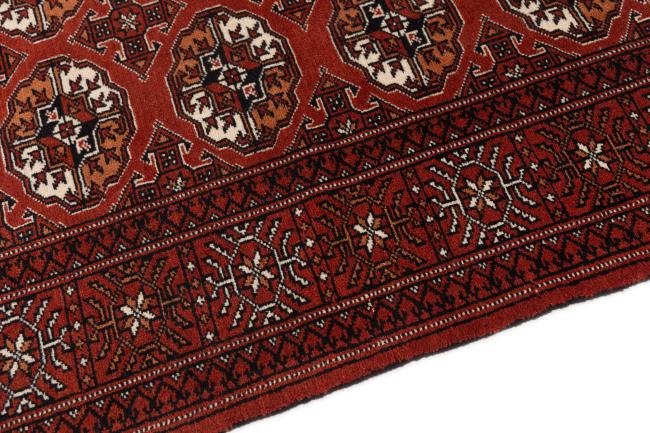 Afghan Mauri - 4