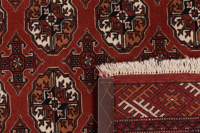 Afghan Mauri - 6