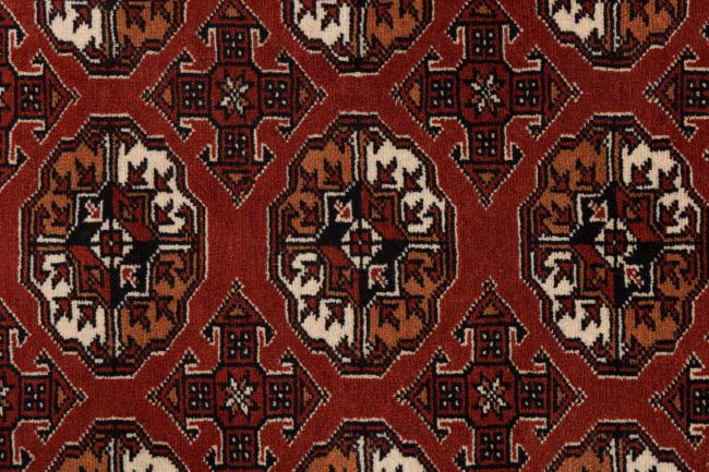 Afghan Mauri - 7