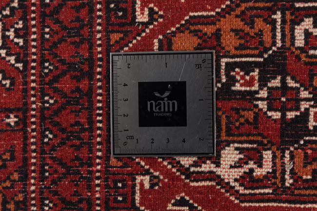 Afghan Mauri - 8