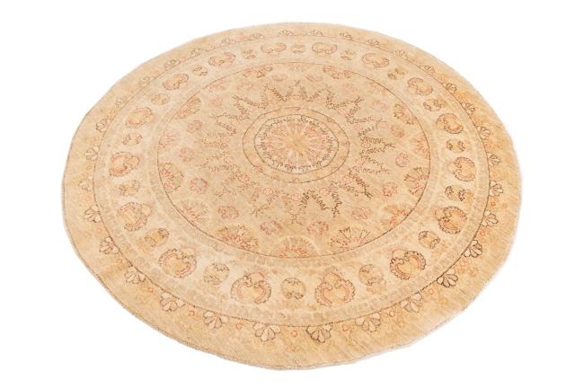 Ziegler Farahan - 2