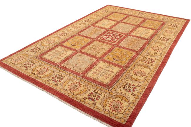 Arijana Bakhtiari - 1