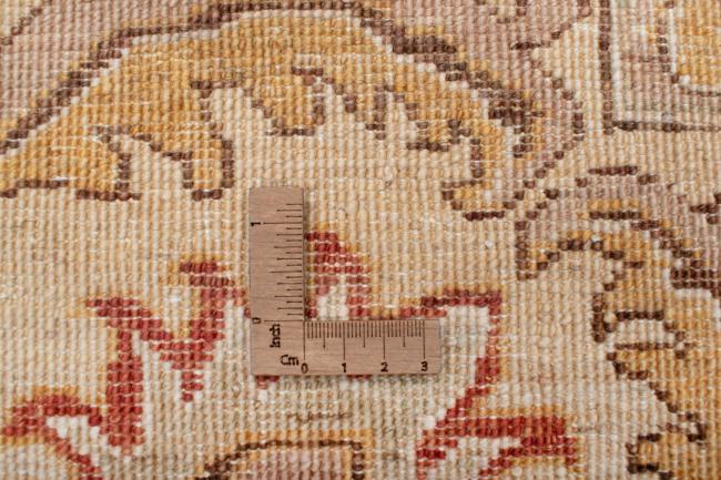 Arijana Bakhtiari - 7