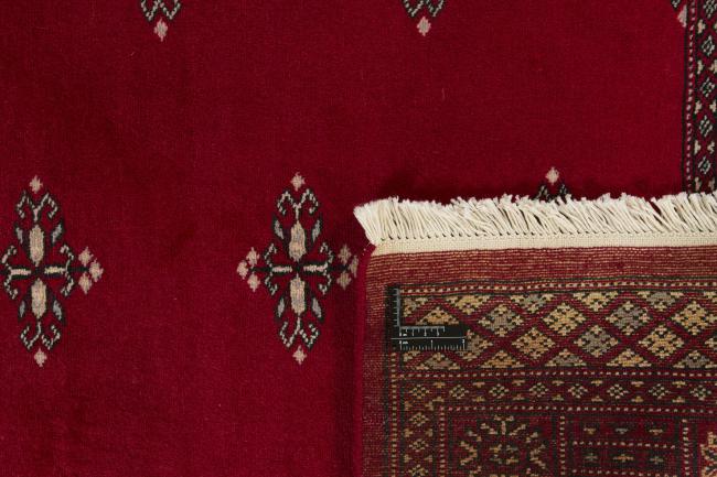 Pakistan Buchara 2ply - 1