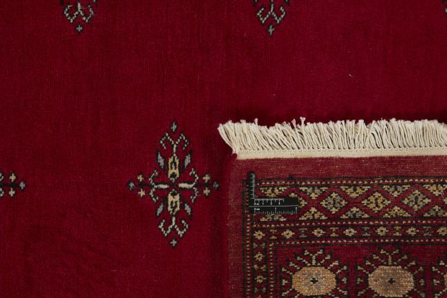 Pakistan Buchara 2ply - 1