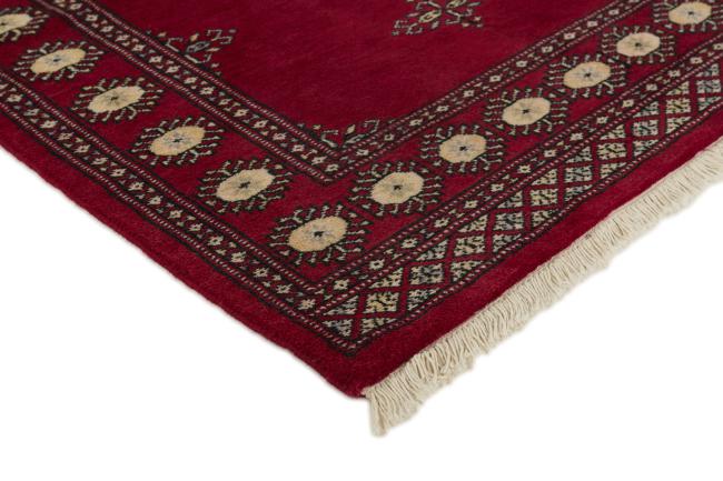 Pakistan Buchara 2ply - 3