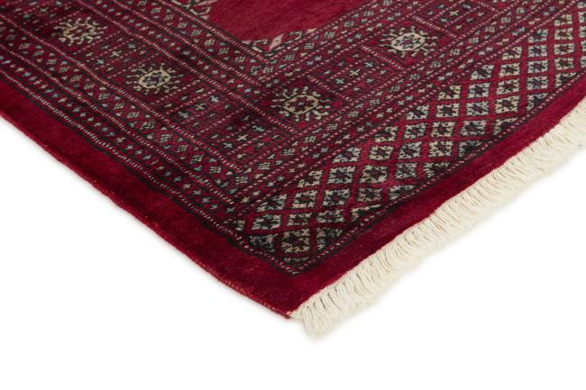 Pakistan Buchara 2ply - 3