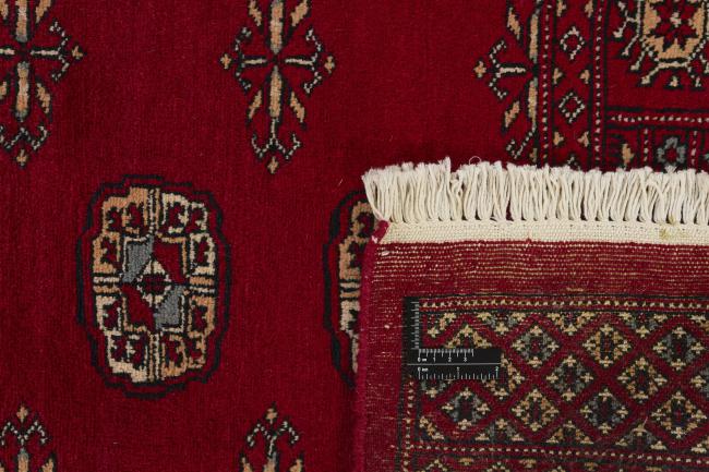 Pakistan Buchara 2ply - 1