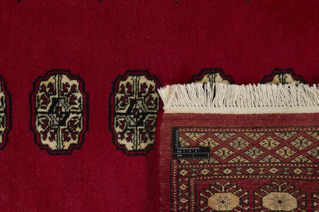 Pakistański Buchara 2ply - 1