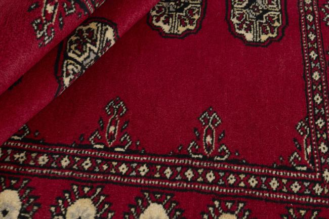 Pakistański Buchara 2ply - 2