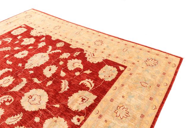Ziegler Farahan - 3