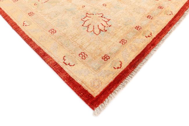 Ziegler Farahan - 5
