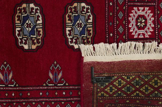 Pakistan Buchara 2ply - 1