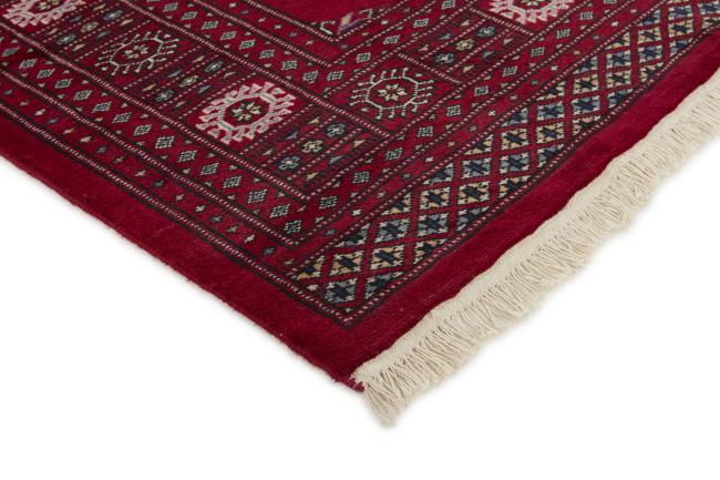 Pakistan Buchara 2ply - 3