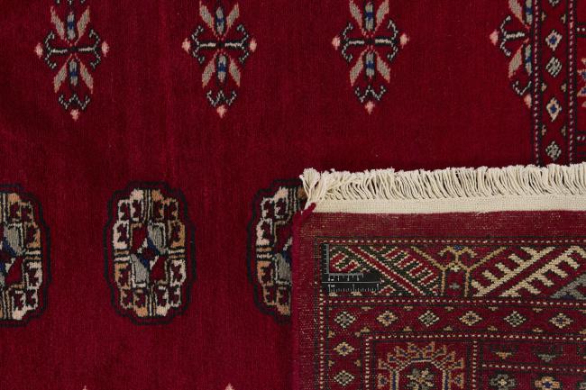 Pakistan Buchara 2ply - 1