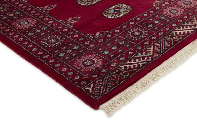 Pakistan Buchara 2ply - 3