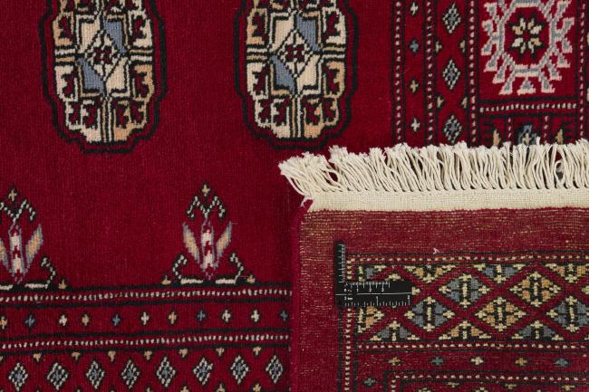 Pakistan Buchara 2ply - 1