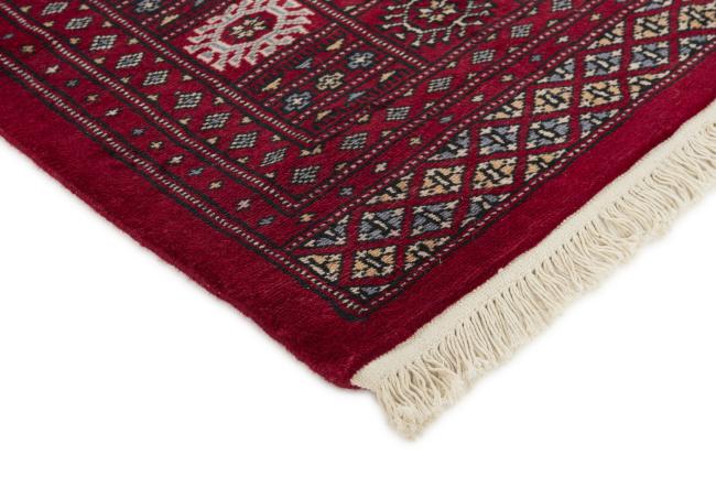 Pakistan Buchara 2ply - 3