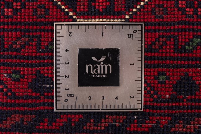 Afghan Mauri - 9