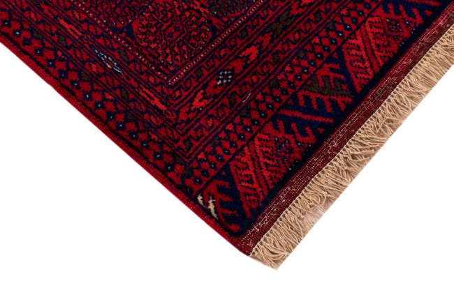 Afghan Mauri - 5