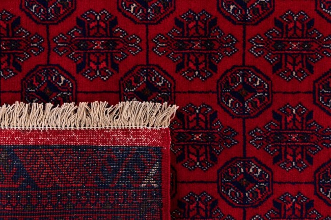 Afghan Mauri - 6