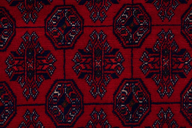 Afghan Mauri - 7