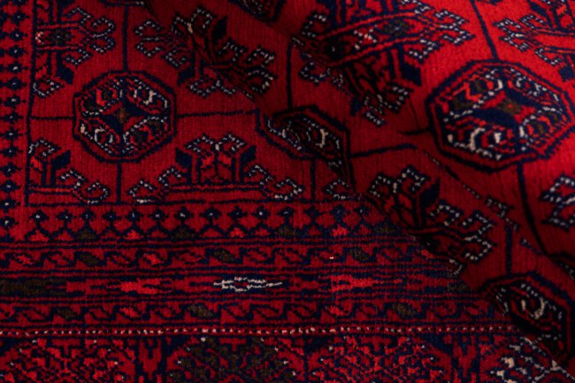 Afghan Mauri - 8
