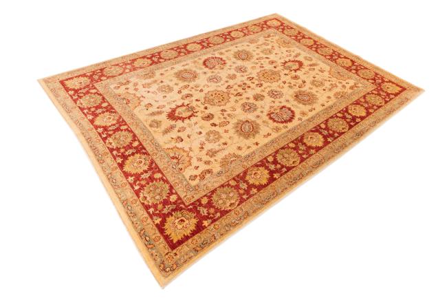 Ziegler Farahan - 2