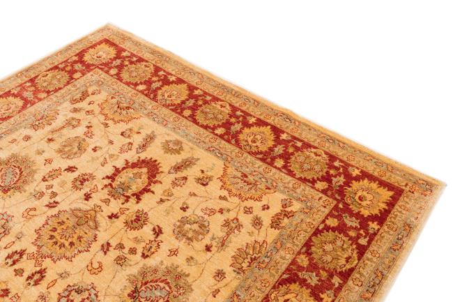 Ziegler Farahan - 3