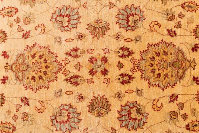 Ziegler Farahan - 8