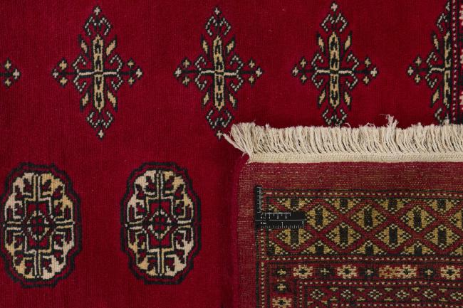 Pakistan Buchara 2ply - 1