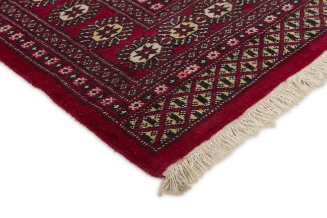 Pakistan Buchara 2ply - 3