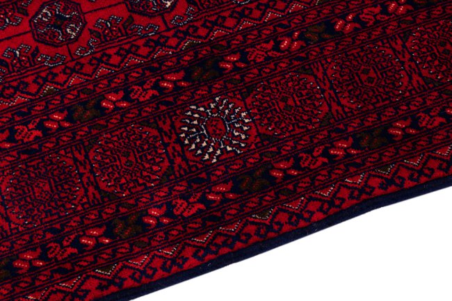 Afghan Mauri - 4