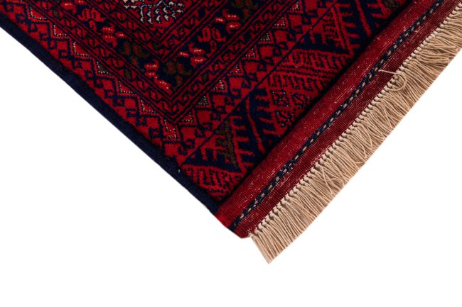 Afghan Mauri - 5