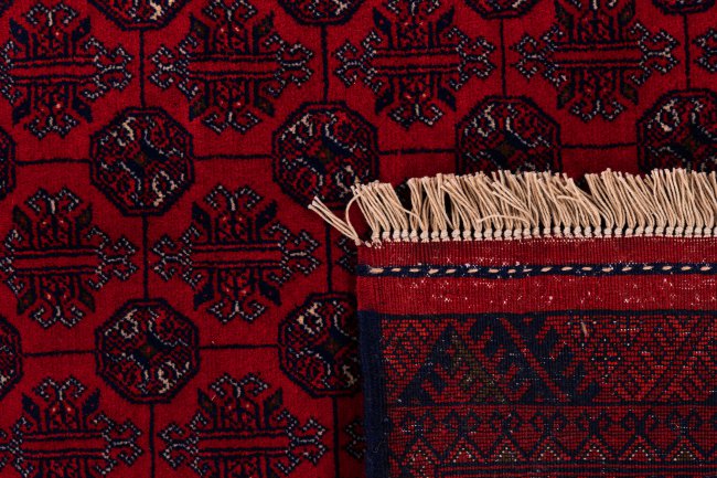 Afghan Mauri - 6