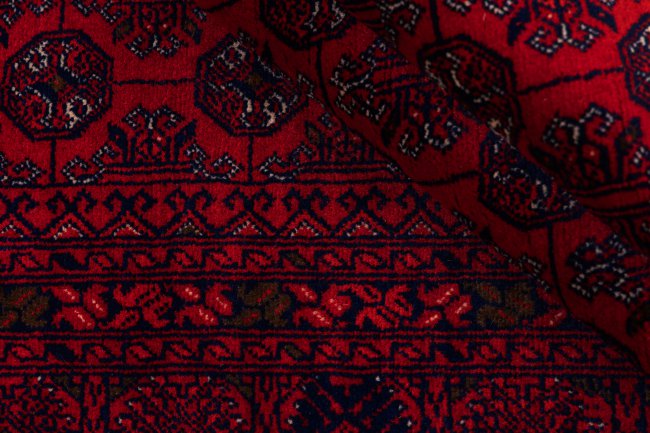 Afghan Mauri - 8