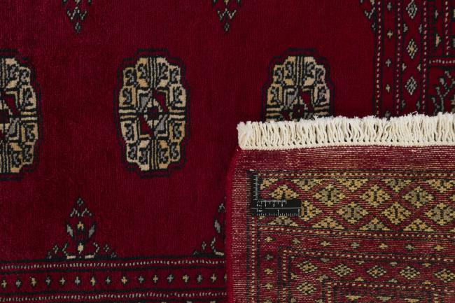 Pakistan Buchara 2ply - 1