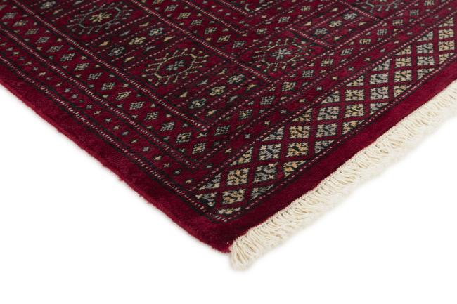 Pakistan Buchara 2ply - 3