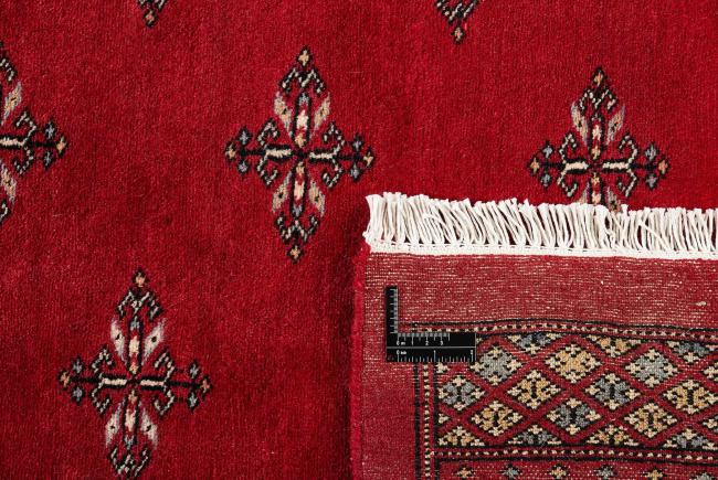Pakistan Buchara 2ply - 1