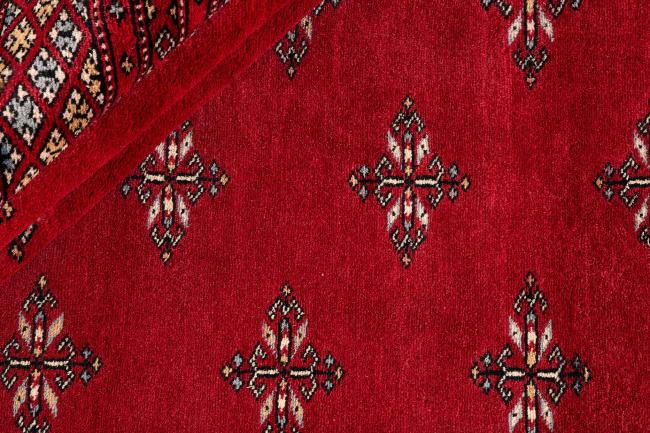 Pakistan Buchara 2ply - 2