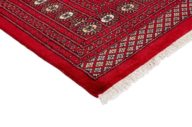 Pakistan Buchara 2ply - 3