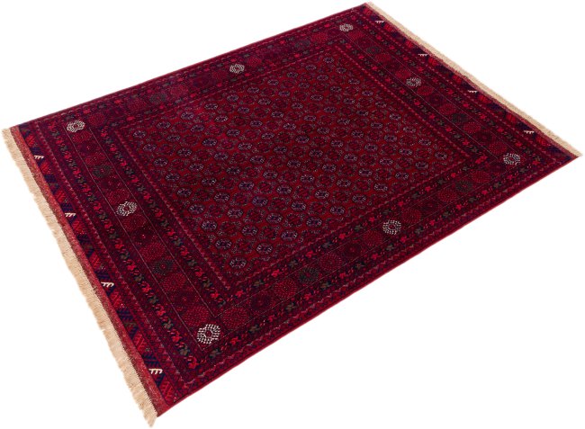 Afghan Mauri - 2