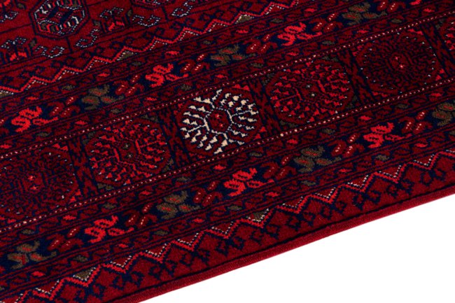 Afghan Mauri - 4
