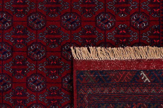Afghan Mauri - 6